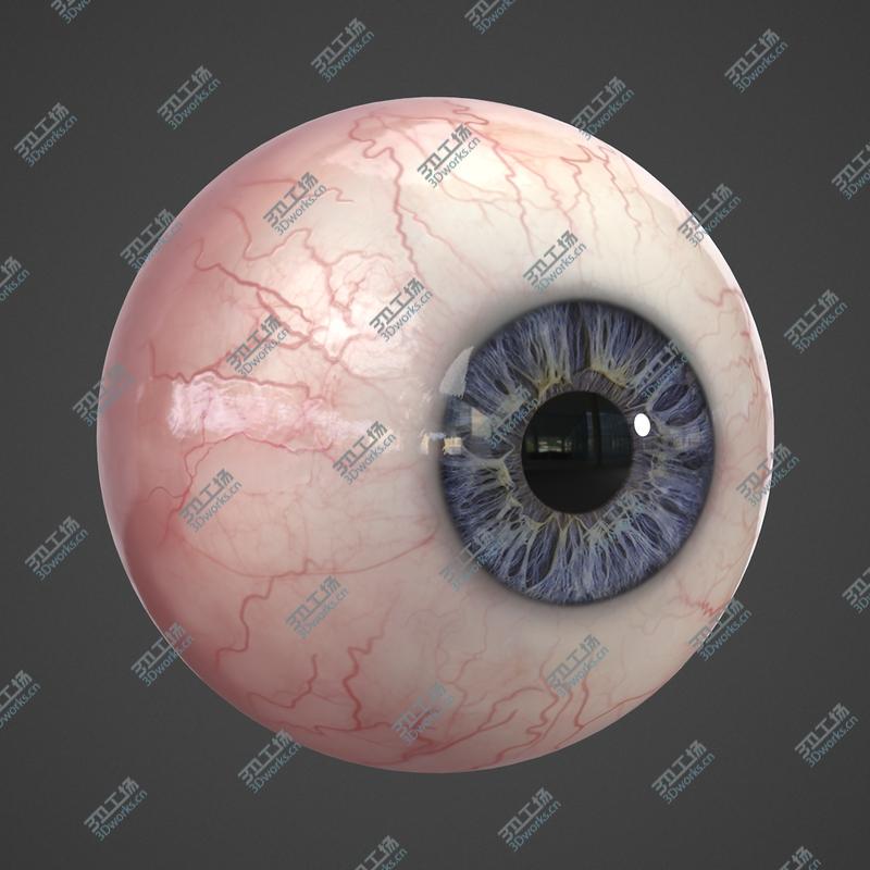 images/goods_img/20210319/Realistic Human Eye/3.jpg